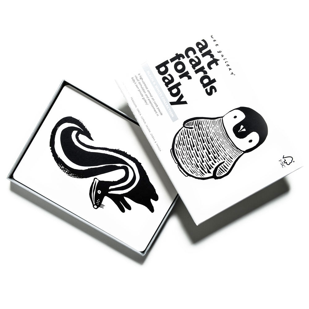Black & White Art Cards - Chicke