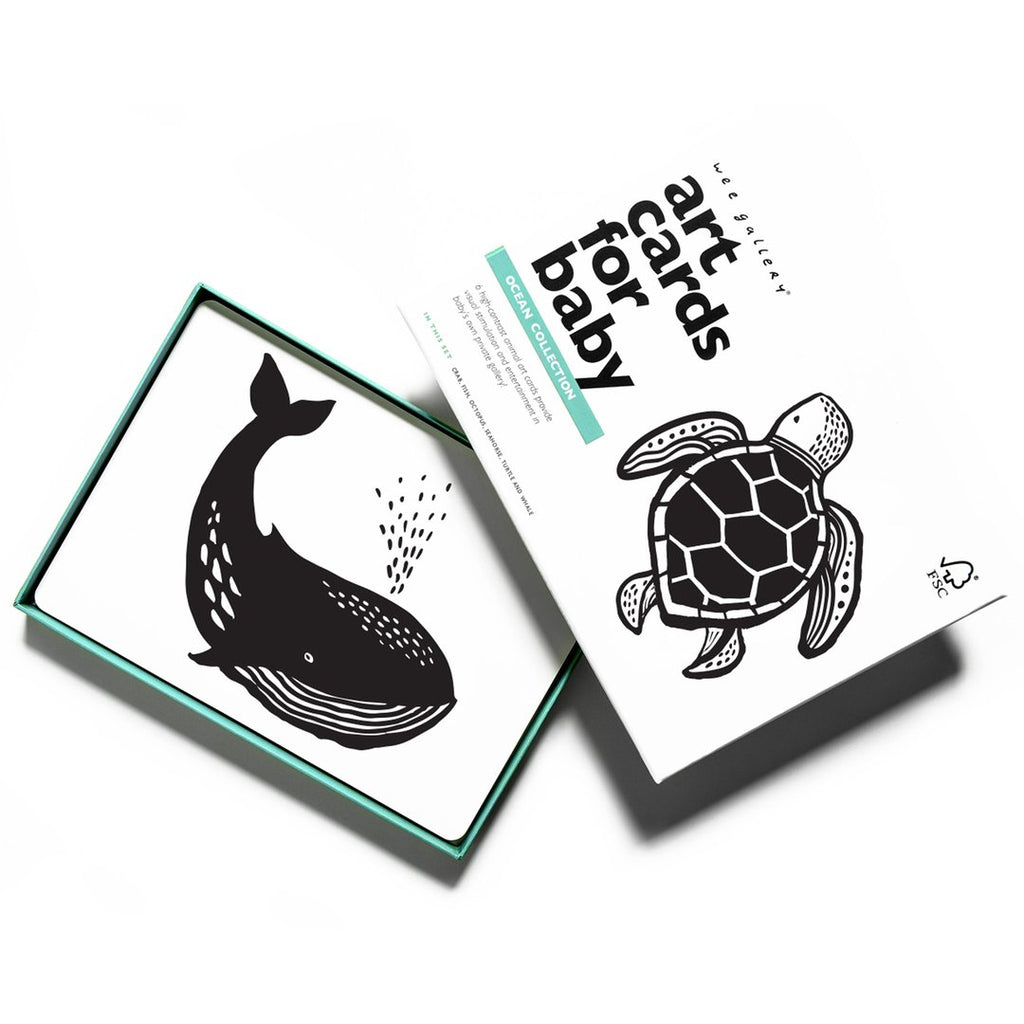 Ocean Animal Art Cards - Chicke