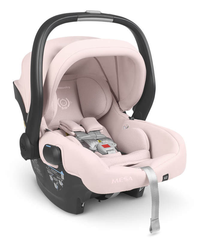 Mesa V2 Carseat Chicke