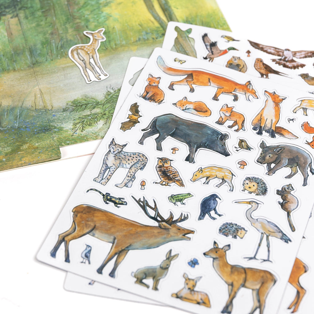 Magnetic Activity Game - Forest - Chicke