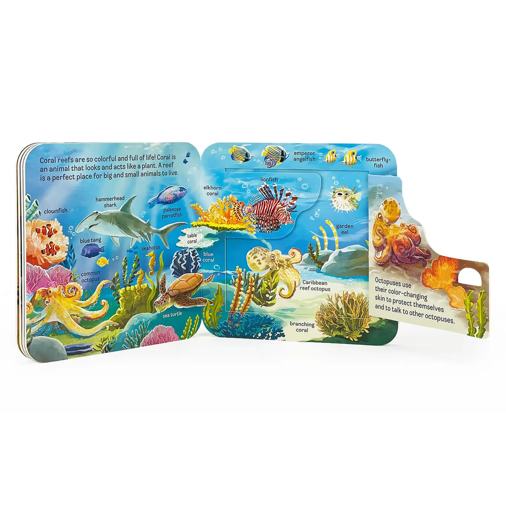 Ocean - Chicke