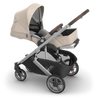 Cruz V3 Stroller