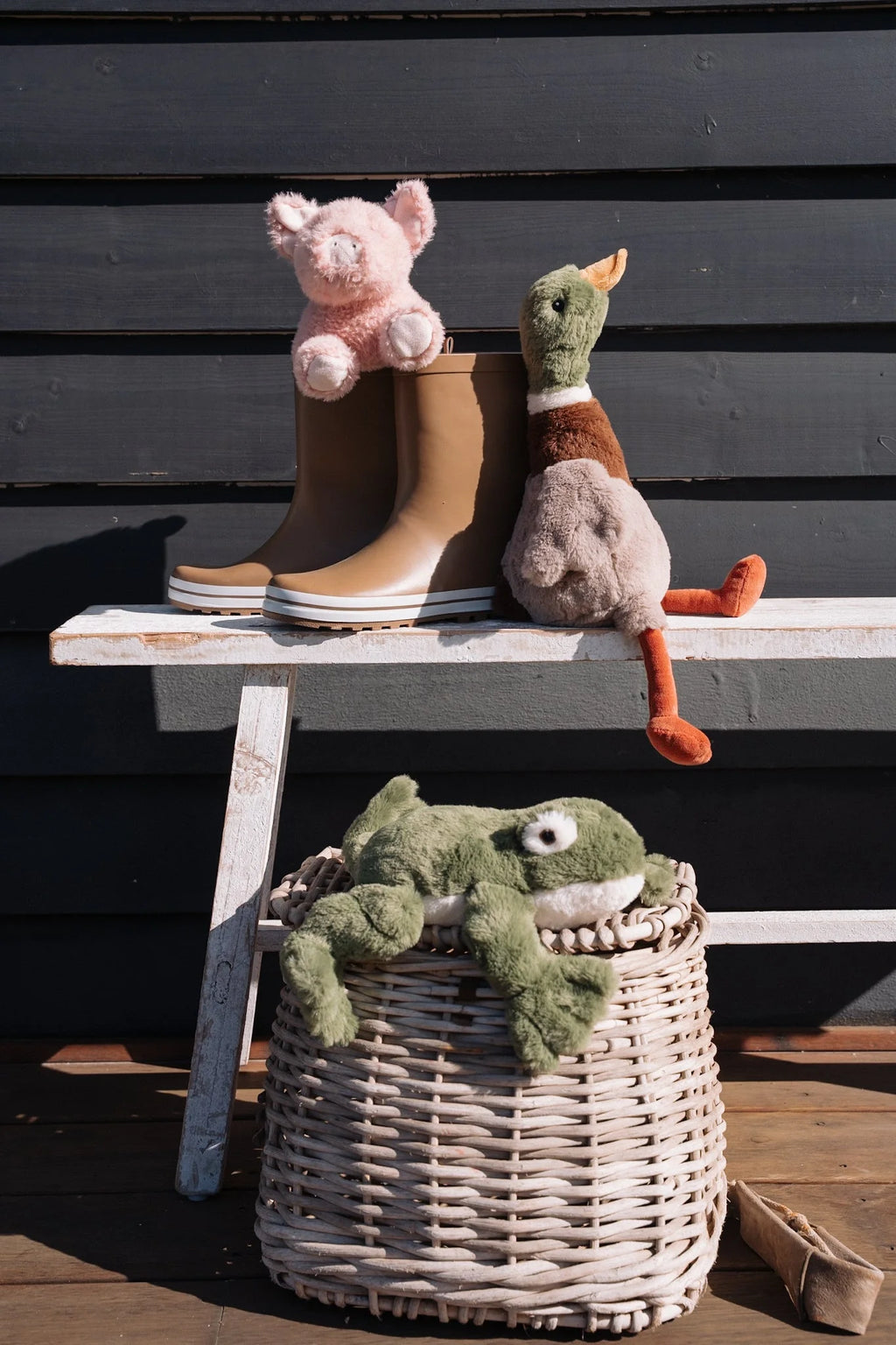 Hugo the Mallard Duck - Chicke