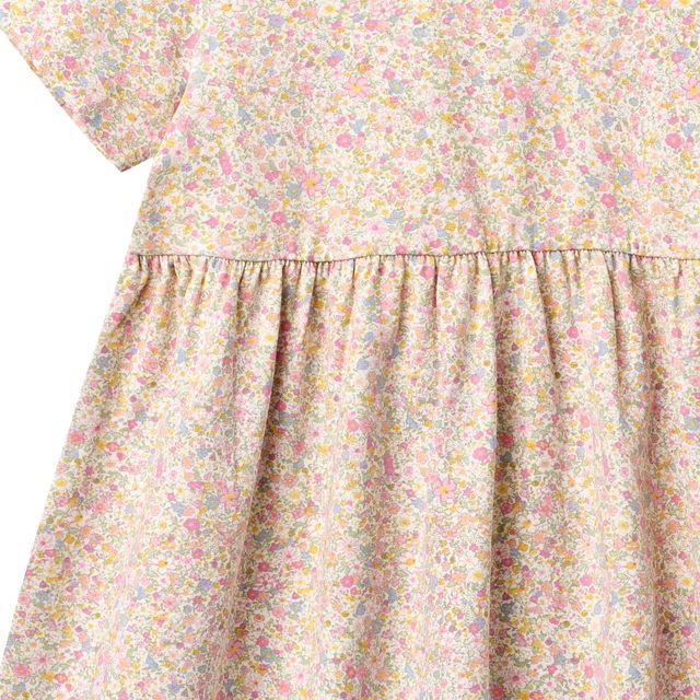 Kids Anna Dress - Blush Flower Meadow - Chicke