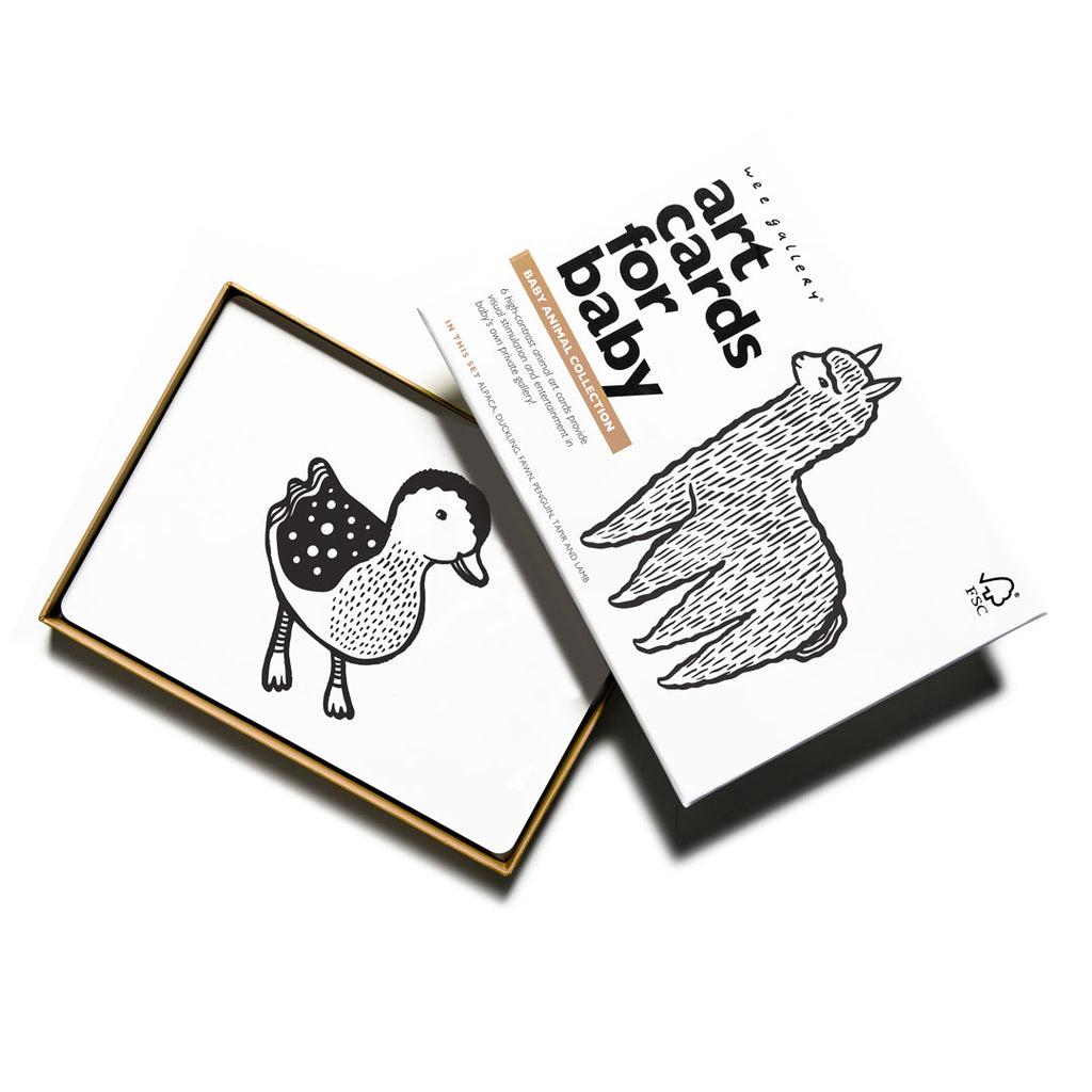 Baby Animal Art Cards - Chicke